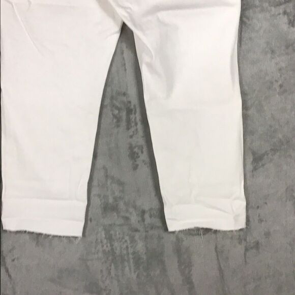 Madewell Womens 18W Plus Perfect Vintage Jean Tile White Raw Hem NWT - Picture 14 of 16